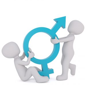 https://pixabay.com/nl/gelijkheid-geslacht-vrouw-dualiteit-2110563/