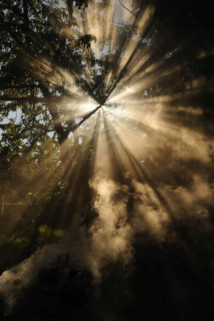Photo by <a href="https://unsplash.com/@wonderlane?utm_source=unsplash&utm_medium=referral&utm_content=creditCopyText">Wonderlane</a> on <a href="https://unsplash.com/photos/sun-rays-coming-through-trees-_rmULTYorYQ?utm_source=unsplash&utm_medium=referral&utm_content=creditCopyText">Unsplash</a>
